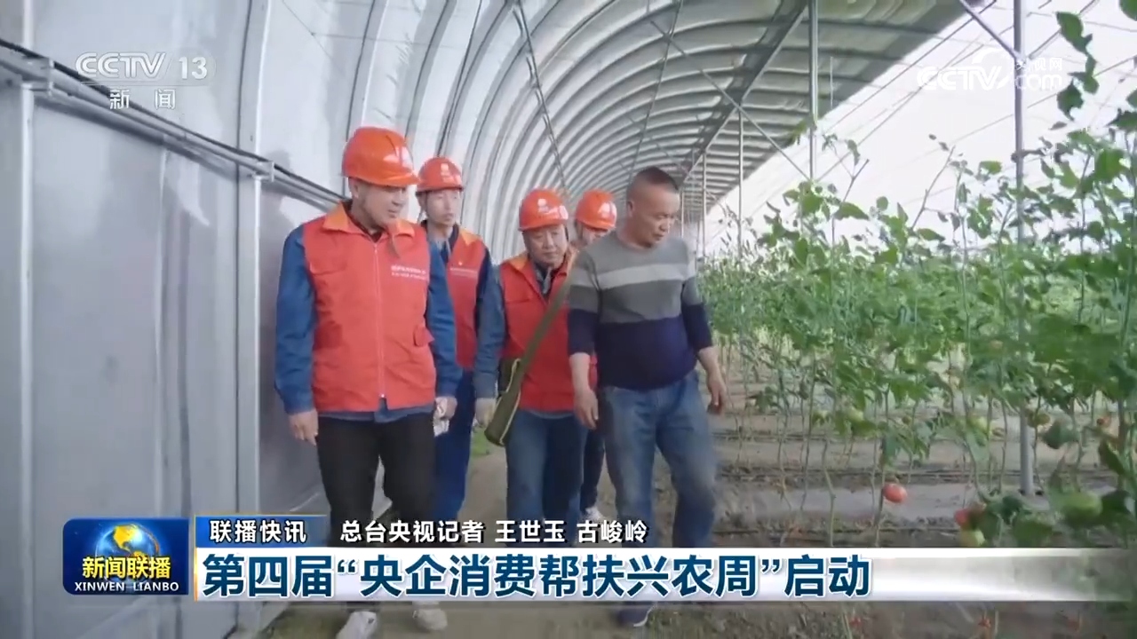 
上海龙华医院黄牛代挂号电话票贩子号贩子网上预约挂号,住院检查加快,秋粮丰收、水果出海、民航新高：多维数据凸显中国经济韧性与活力