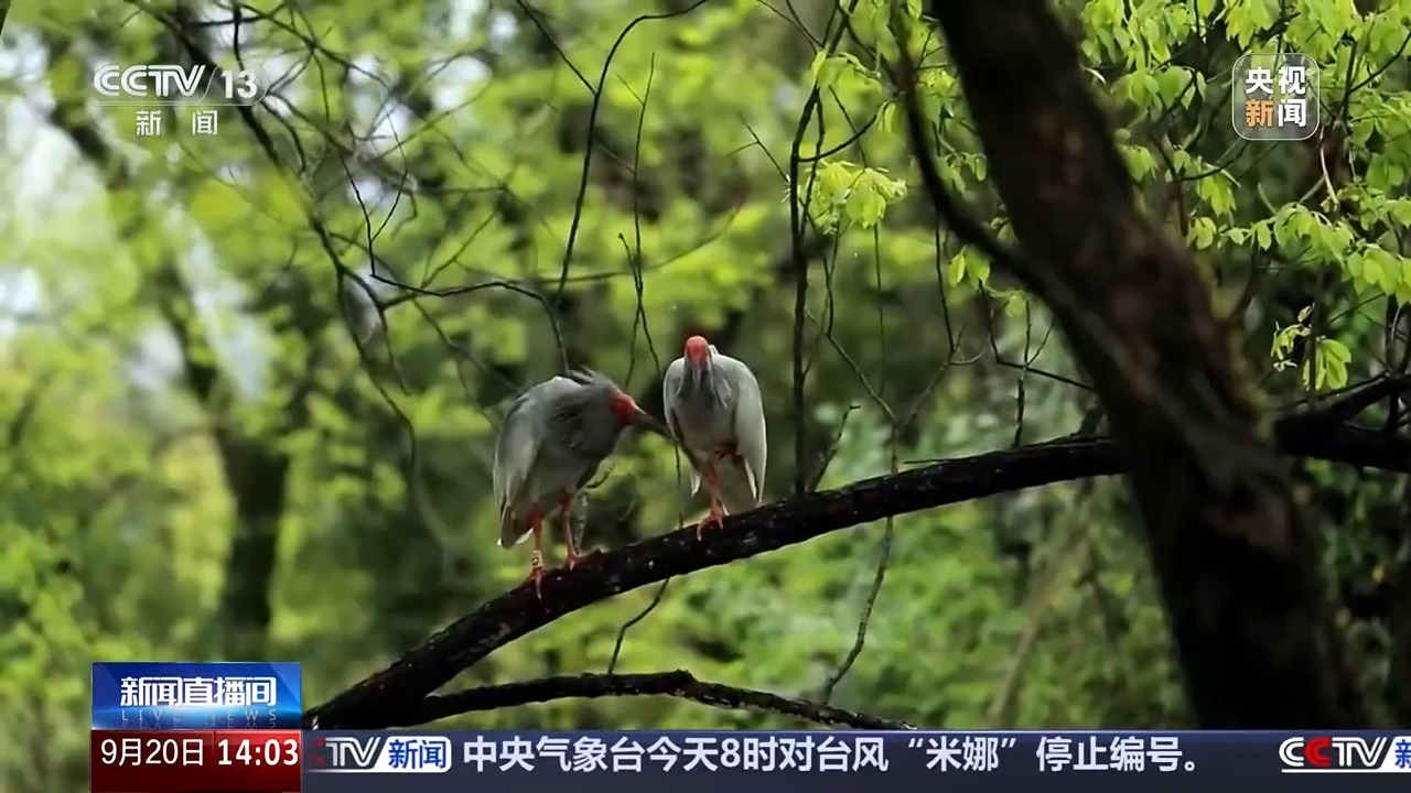 
广东省人民医院黄牛代挂号电话票贩子号贩子网上预约挂号,住院检查加快,“过境游”变“深度游” 为何我国入境游超预期增长？