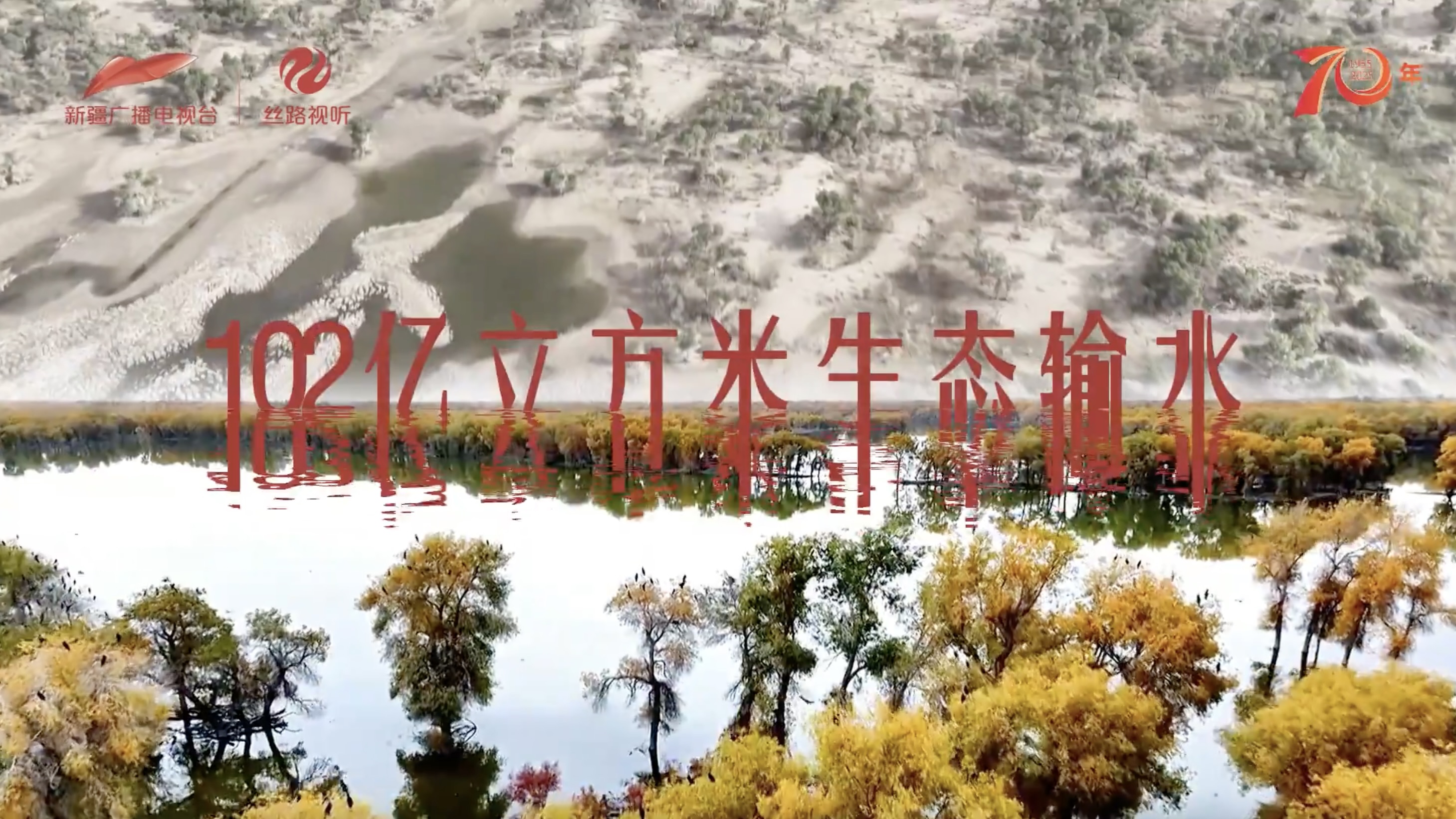 
广州中山眼科医院黄牛代挂号电话票贩子号贩子网上预约挂号,住院检查加快,砥砺奋进七十载 天山南北谱华章 | 千万亩绿 数十载功