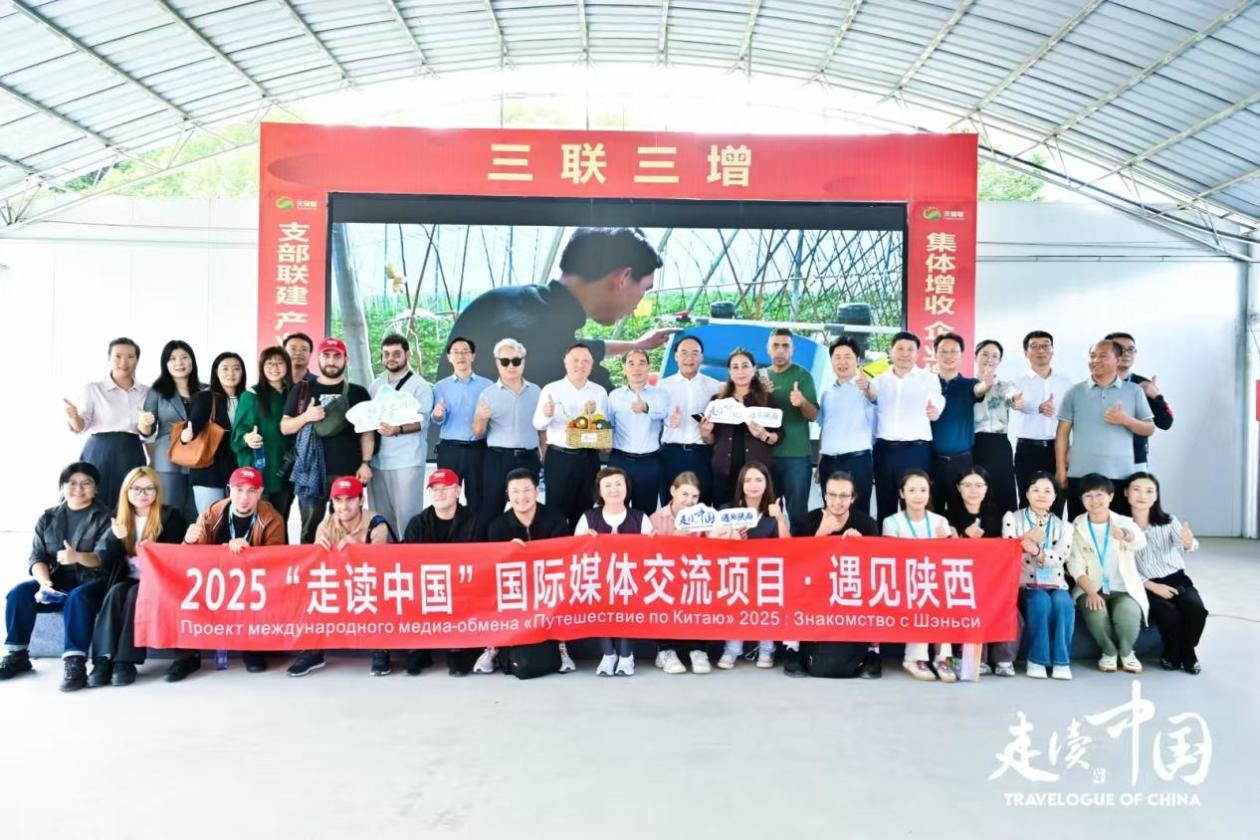 
重庆儿童医院黄牛代挂号电话票贩子号贩子网上预约挂号,住院检查加快,产业联盟激活共富密码 “走读中国”欧亚记者团聚焦中国乡村振兴实践