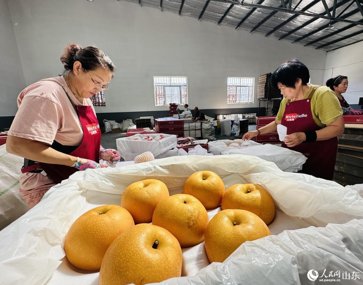 
中山大学肿瘤医院黄牛代挂号电话票贩子号贩子网上预约挂号,住院检查加快,行进中国｜梨乡“金果”链出甜蜜产业