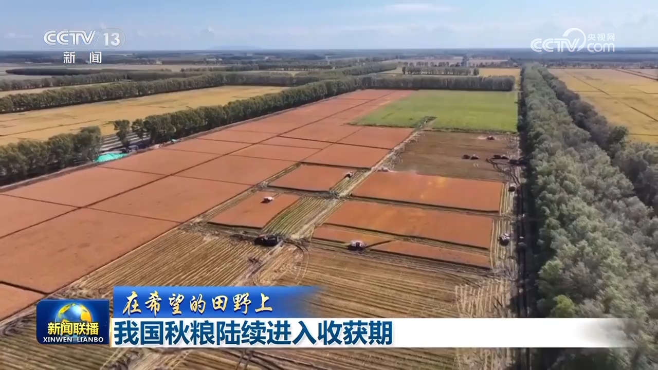 
上海龙华医院黄牛代挂号电话票贩子号贩子网上预约挂号,住院检查加快,秋粮丰收、水果出海、民航新高：多维数据凸显中国经济韧性与活力