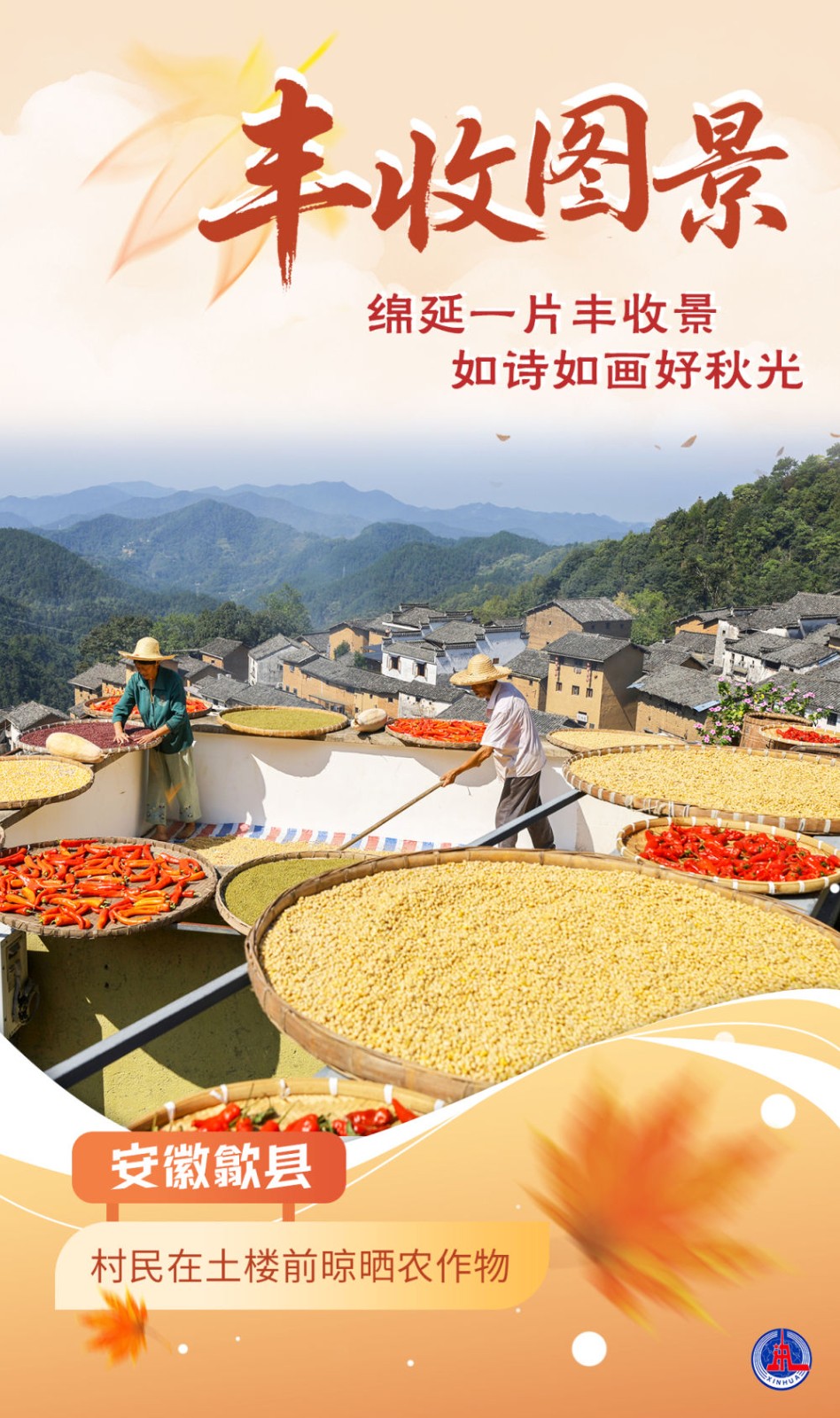 
东部战区总医院黄牛代挂号电话票贩子号贩子网上预约挂号,住院检查加快,海报｜丰收图景