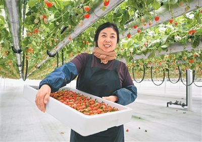 
北京301医院黄牛代挂号电话票贩子号贩子网上预约挂号,住院检查加快,“智慧农牧民”日子更红火（“融”观中国）