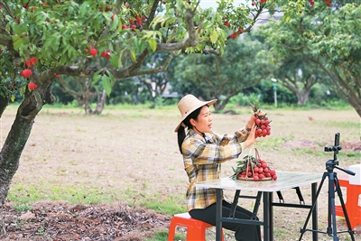 
杭州市三医院黄牛代挂号电话票贩子号贩子网上预约挂号,住院检查加快,数字红利“润泽”岭南大地（“融”观中国）