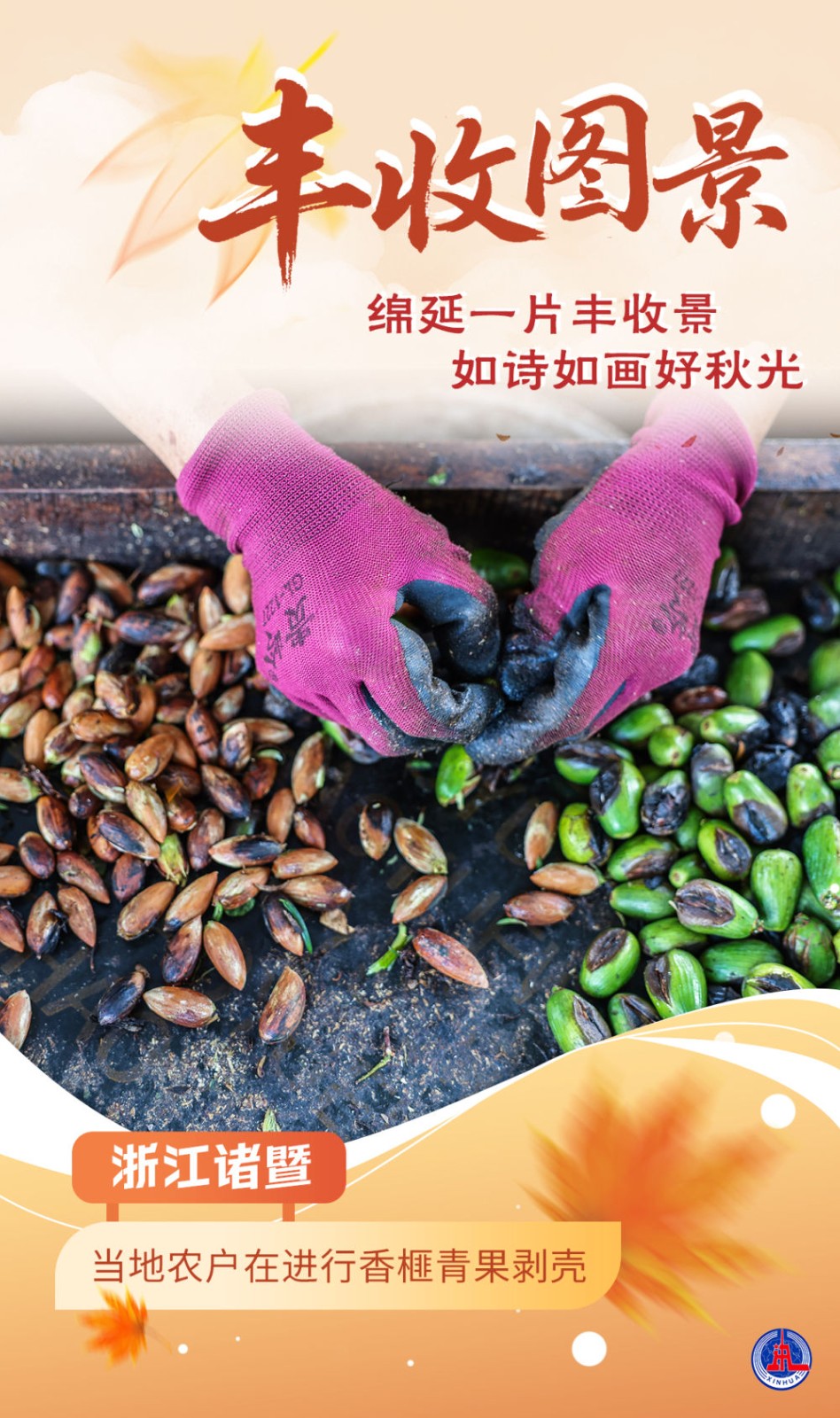 
东部战区总医院黄牛代挂号电话票贩子号贩子网上预约挂号,住院检查加快,海报｜丰收图景