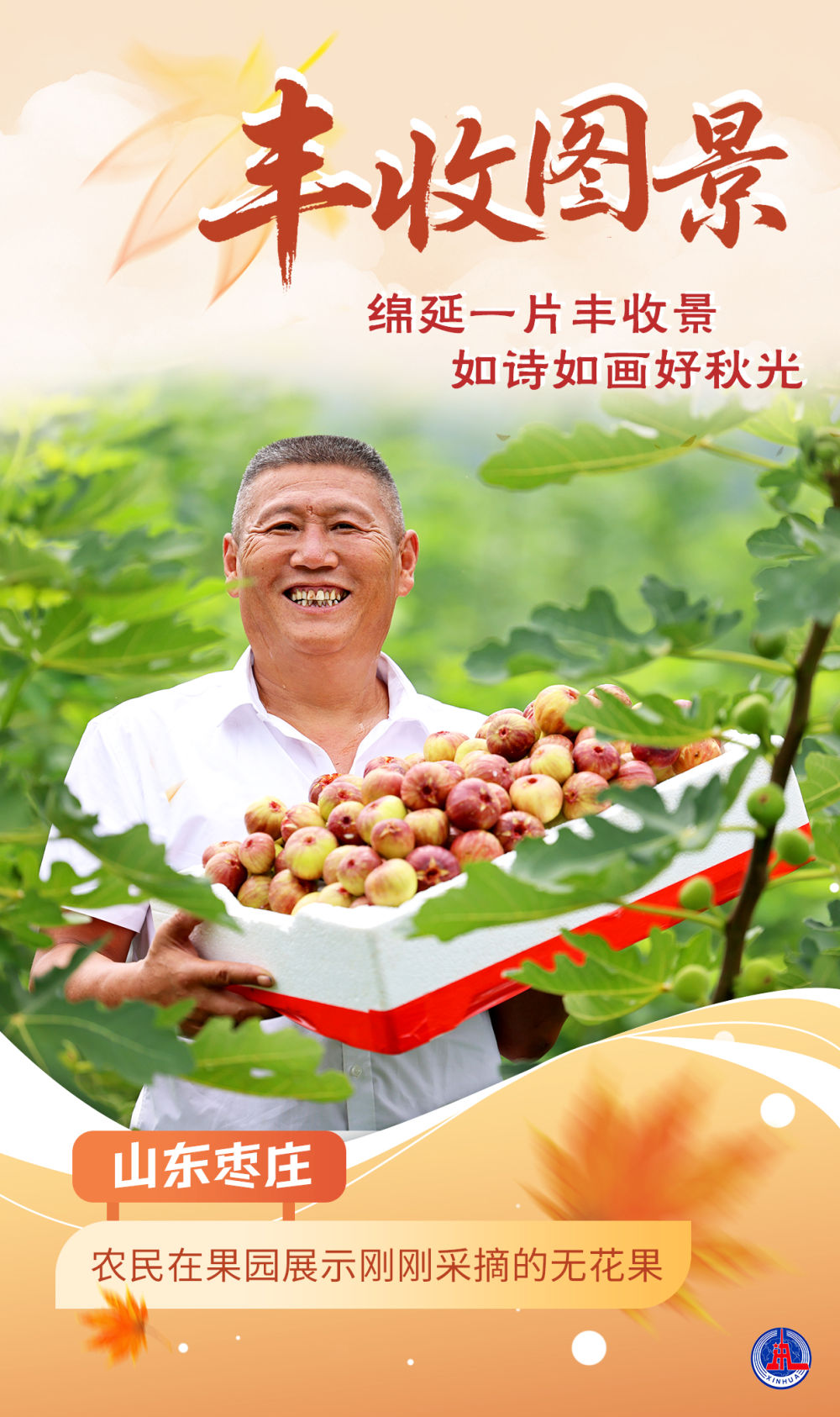 
东部战区总医院黄牛代挂号电话票贩子号贩子网上预约挂号,住院检查加快,海报｜丰收图景