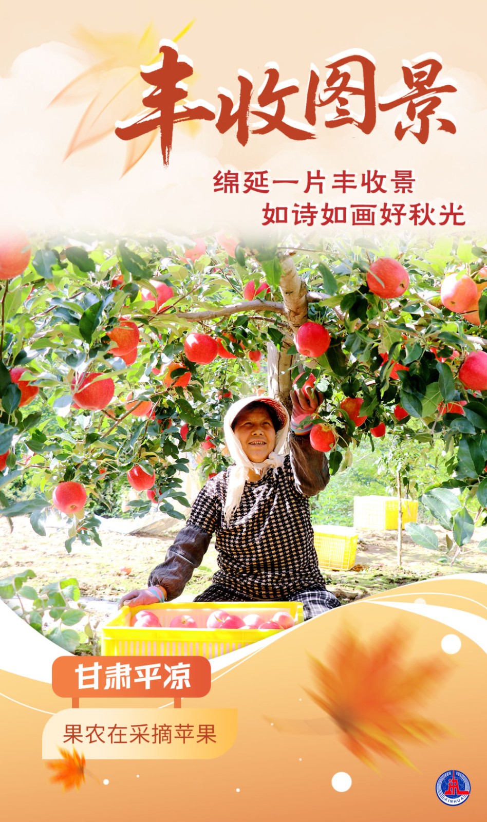 
东部战区总医院黄牛代挂号电话票贩子号贩子网上预约挂号,住院检查加快,海报｜丰收图景