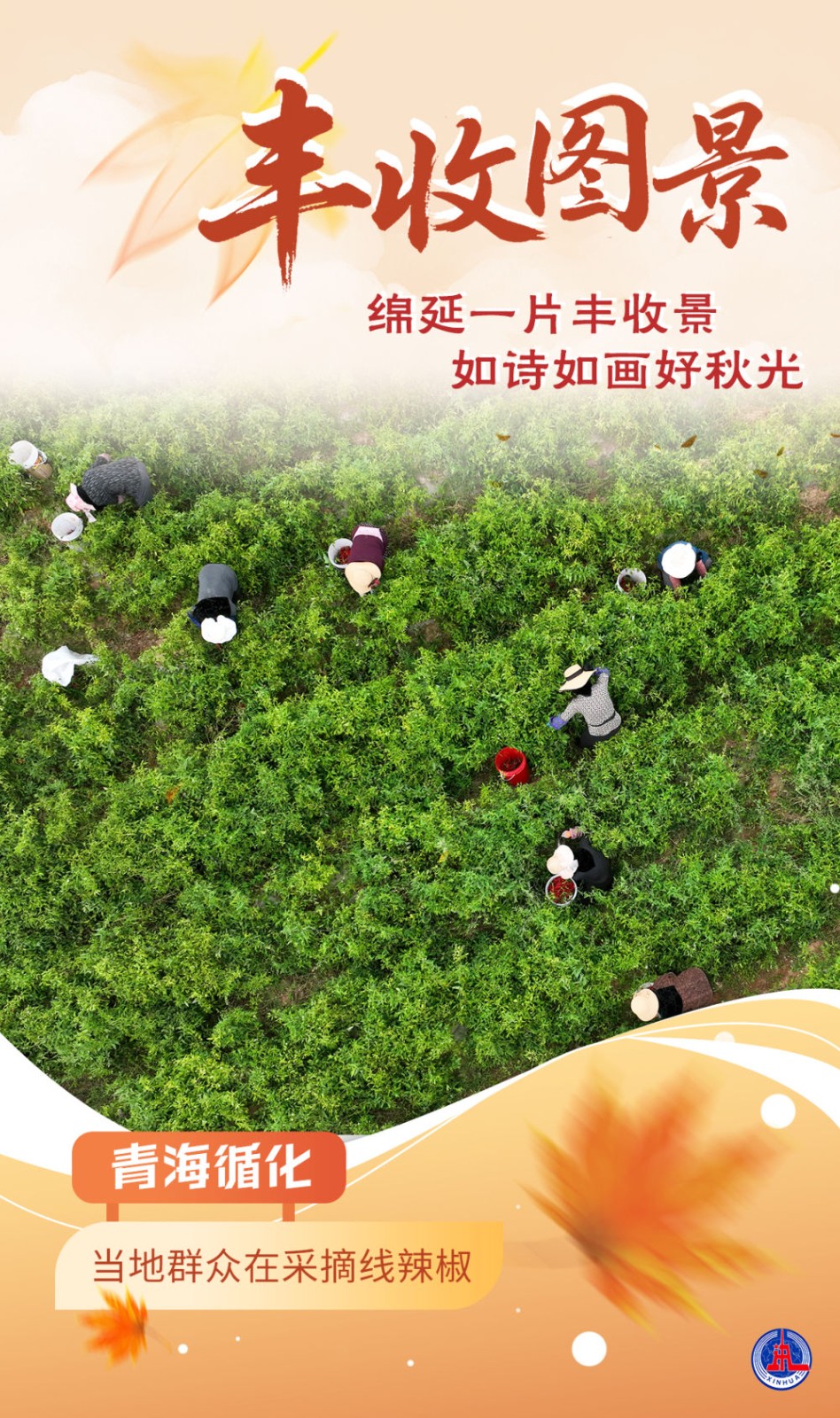 
东部战区总医院黄牛代挂号电话票贩子号贩子网上预约挂号,住院检查加快,海报｜丰收图景