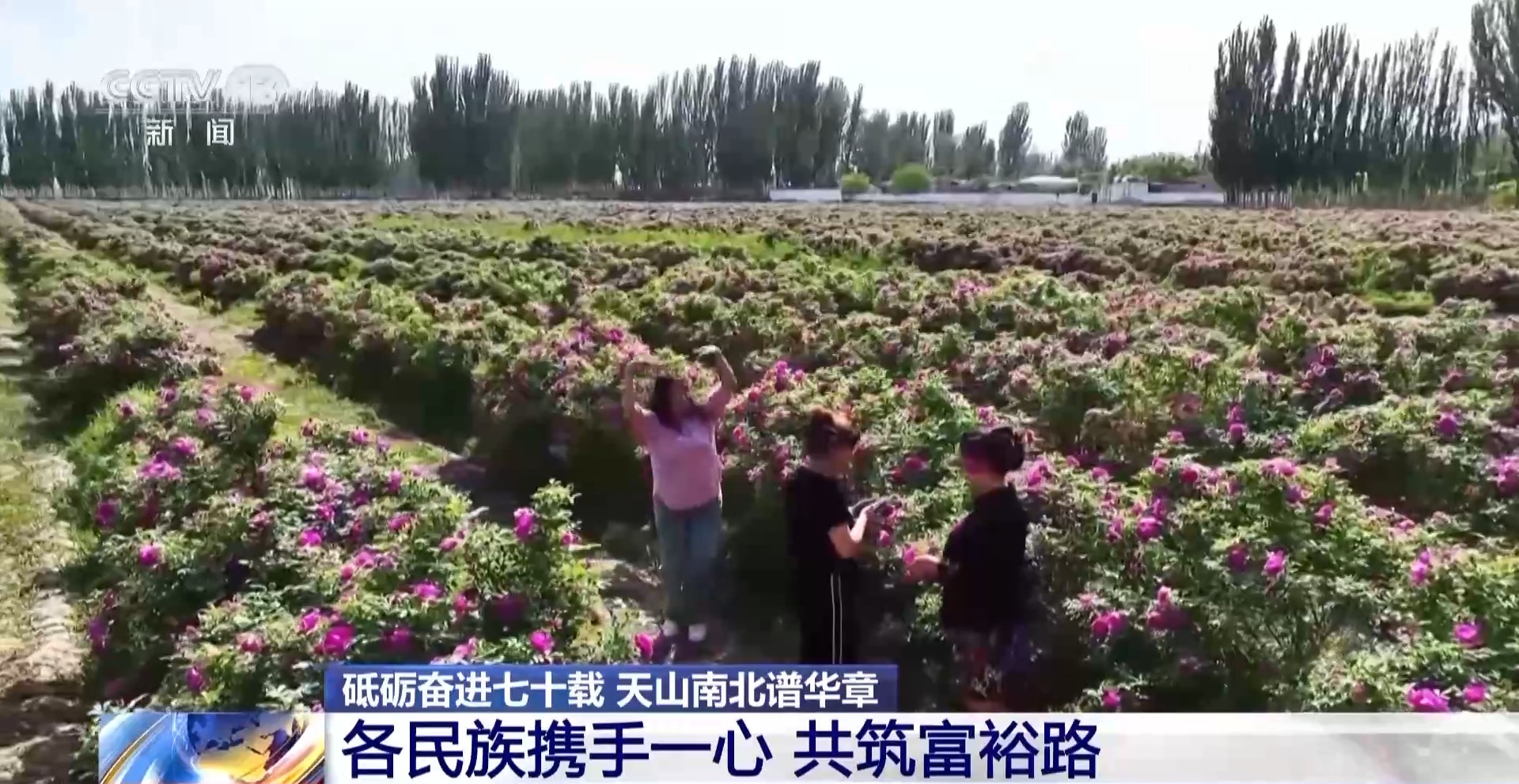 
北医三院黄牛代挂号电话票贩子号贩子网上预约挂号,住院检查加快,砥砺奋进七十载 天山南北谱华章丨各民族携手一心 共筑富裕路