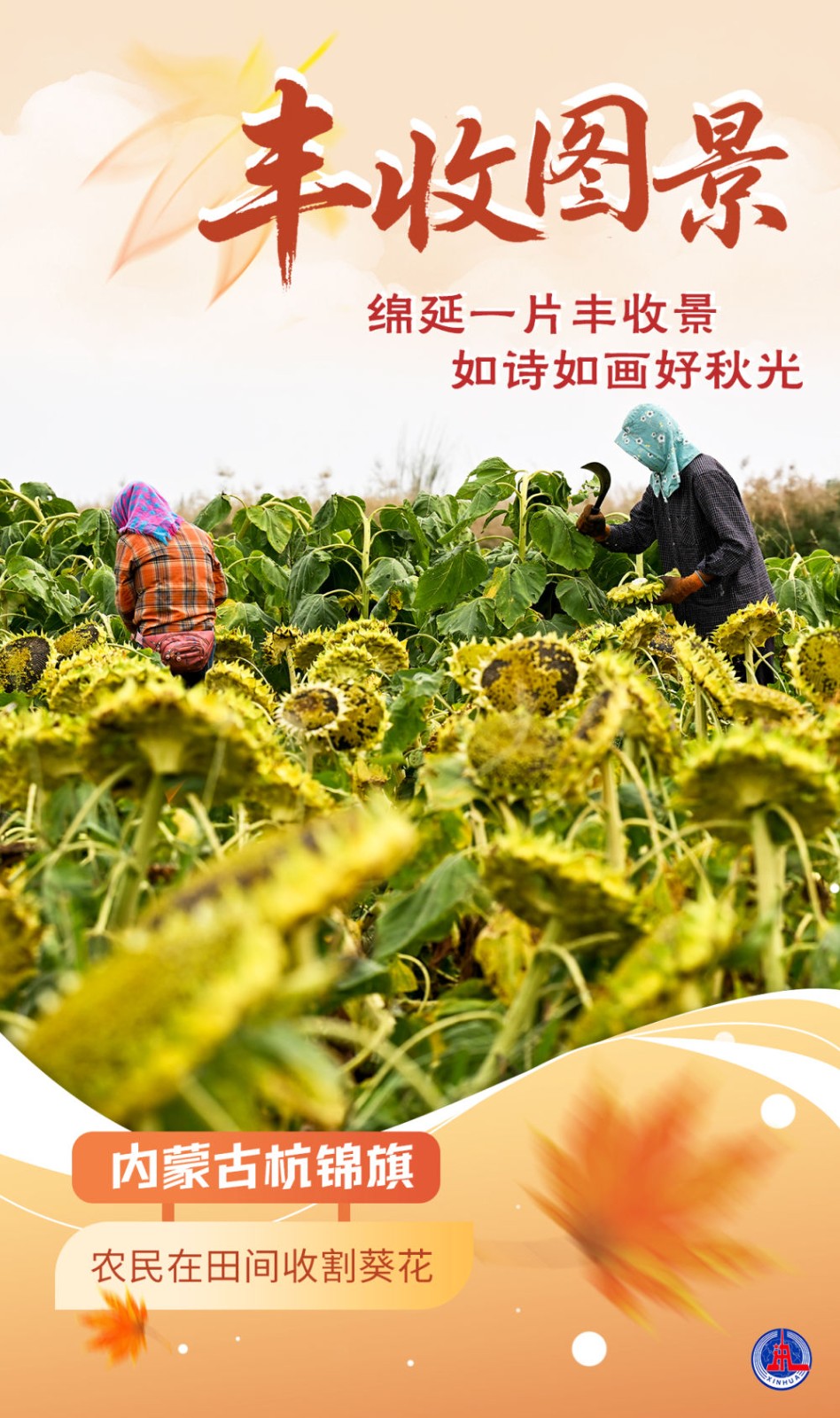 
东部战区总医院黄牛代挂号电话票贩子号贩子网上预约挂号,住院检查加快,海报｜丰收图景