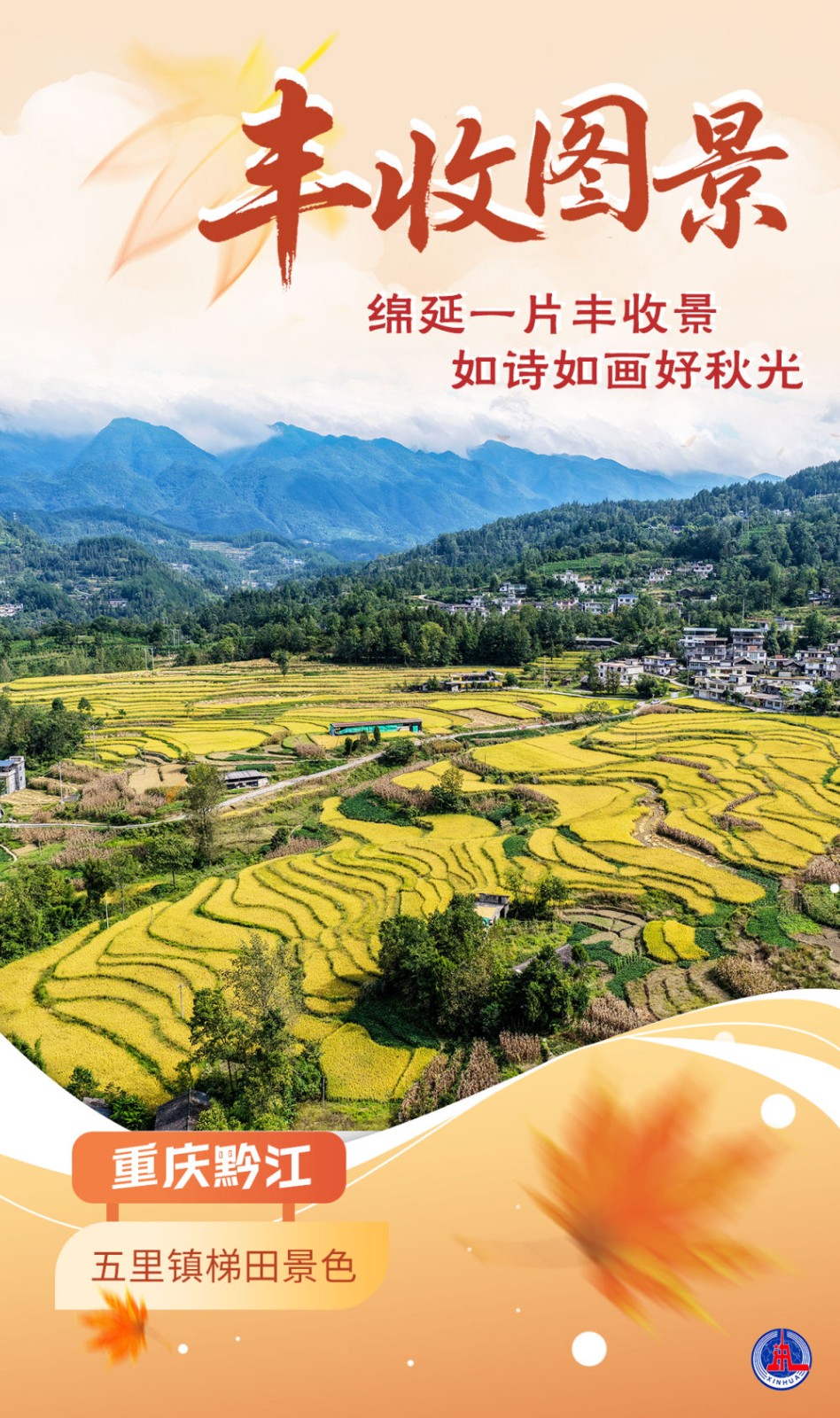 
东部战区总医院黄牛代挂号电话票贩子号贩子网上预约挂号,住院检查加快,海报｜丰收图景