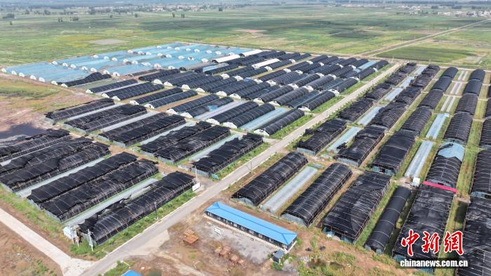
广东省人民医院黄牛代挂号电话票贩子号贩子网上预约挂号,住院检查加快,河套平原荒滩“披绿生金” 塞北乡村庭院“花果富民”