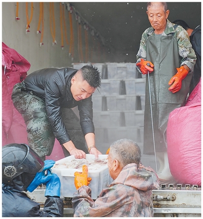 
广州中医院黄牛代挂号电话票贩子号贩子网上预约挂号,住院检查加快,丰收中国 斑斓画卷
