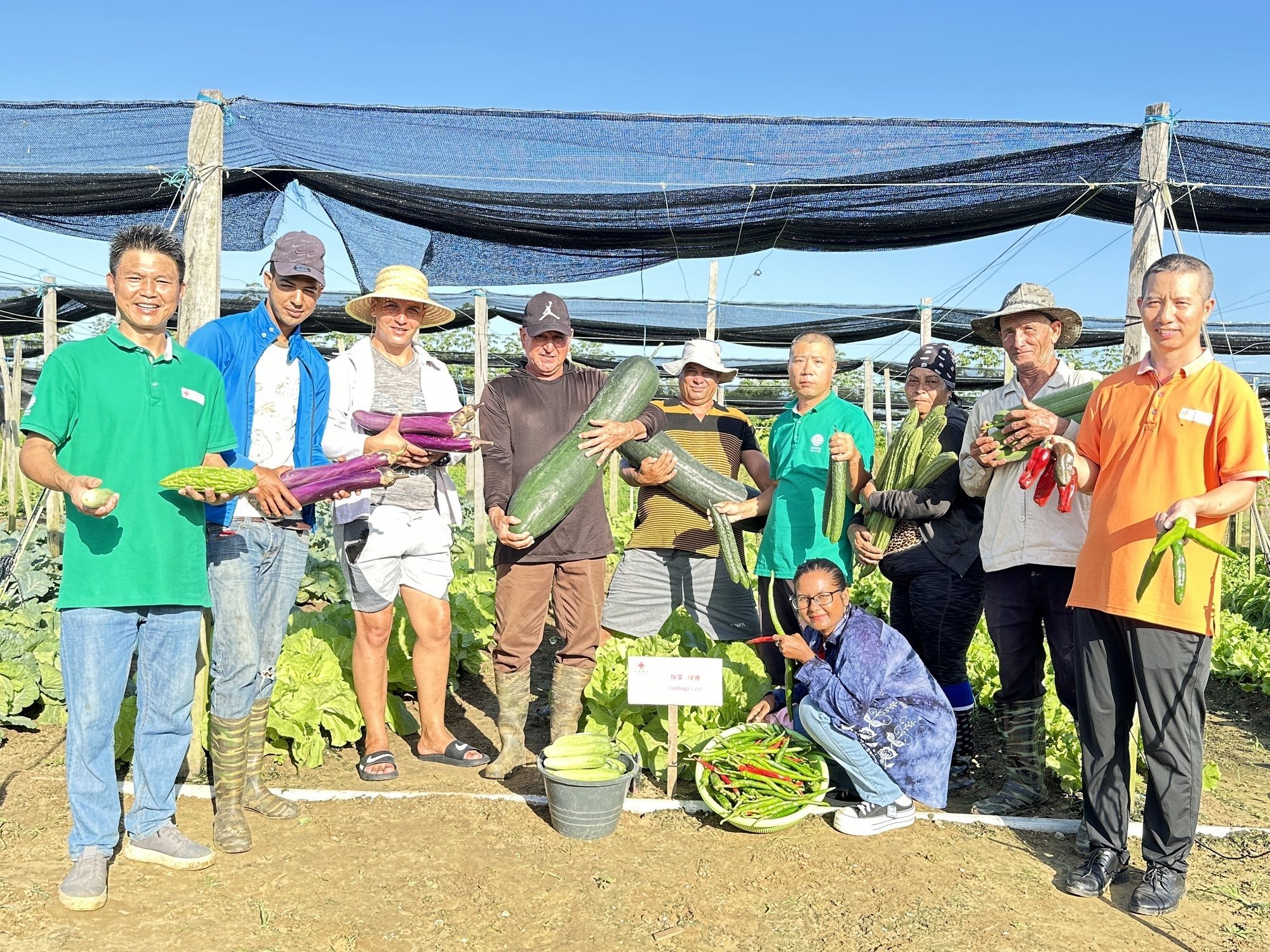 
西安各大医院黄牛代挂号电话票贩子号贩子网上预约挂号,住院检查加快,共筑金色梦想丨在这个南美国家 民众称赞中国人“真正把技术送到田间”