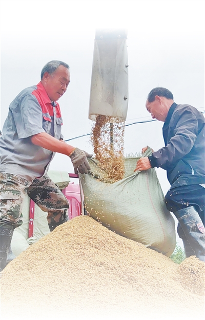 
广州中医院黄牛代挂号电话票贩子号贩子网上预约挂号,住院检查加快,丰收中国 斑斓画卷