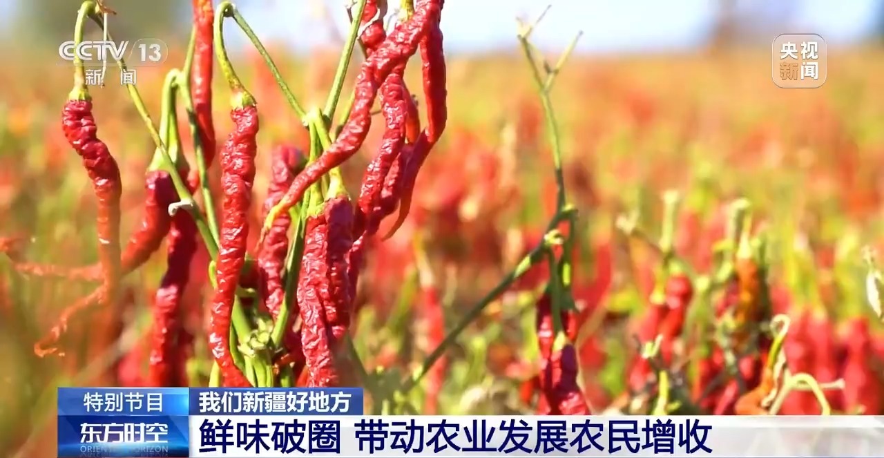 
中山大学孙逸仙纪念医院黄牛代挂号电话票贩子号贩子网上预约挂号,住院检查加快,食材讲究、鲜味破圈 新疆大盘鸡美味密码藏不住了