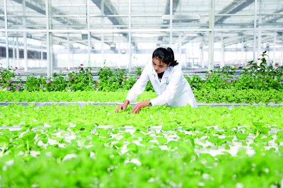 
首都医科大学附属北京口腔医院黄牛代挂号电话票贩子号贩子网上预约挂号,住院检查加快,新疆维吾尔自治区70年发展成就斐然——同心共筑梦 天山绽新颜