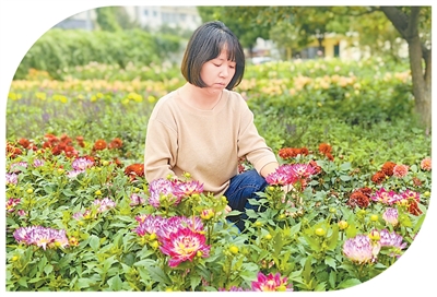 
北京大学第一医院黄牛代挂号电话票贩子号贩子网上预约挂号,住院检查加快,草原钢城 小丽花开（一朵花读懂一座城）