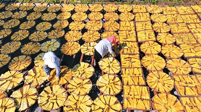 
江苏省中医院黄煌的号黄牛代挂号电话票贩子号贩子网上预约挂号,住院检查加快,晾晒笋干（侨乡新貌）