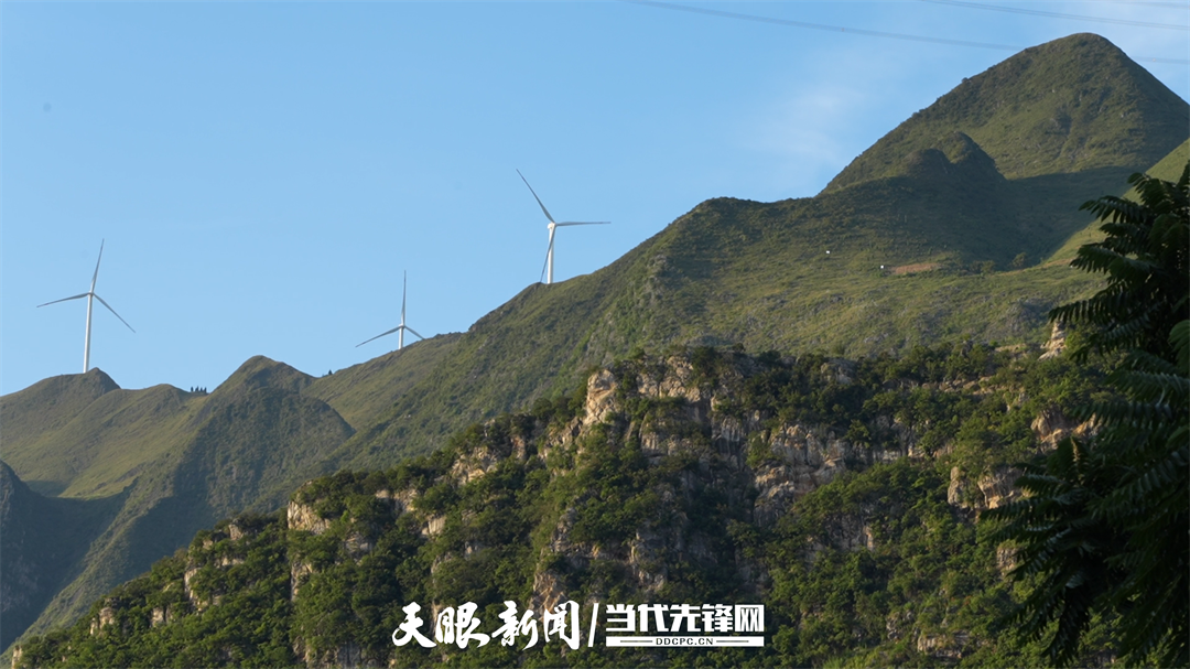 
北京大学肿瘤医院黄牛代挂号电话票贩子号贩子网上预约挂号,住院检查加快,桥下人家｜是交通桥，更是我们的“致富桥”