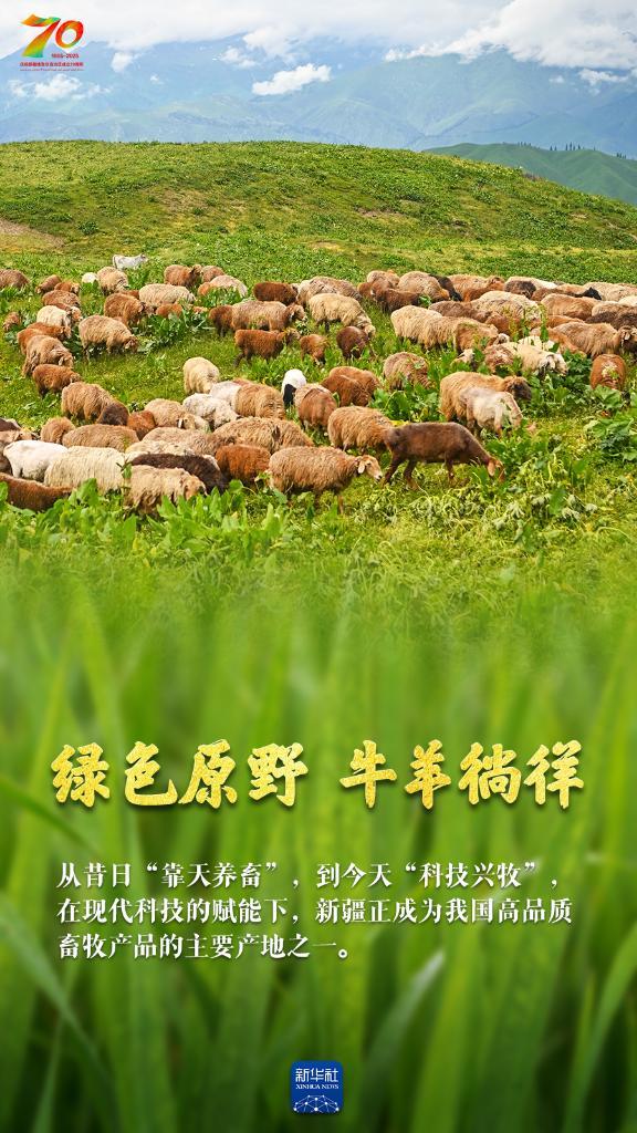 
南京眼科医院黄牛代挂号电话票贩子号贩子网上预约挂号,住院检查加快,巨变70年｜天山南北“丰”景如画