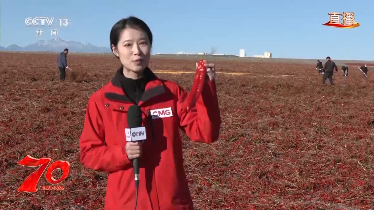 
上海第九人民医院黄牛代挂号电话票贩子号贩子网上预约挂号,住院检查加快,在新疆万亩戈壁晾晒场 看“火红辣椒”带来“红火日子”