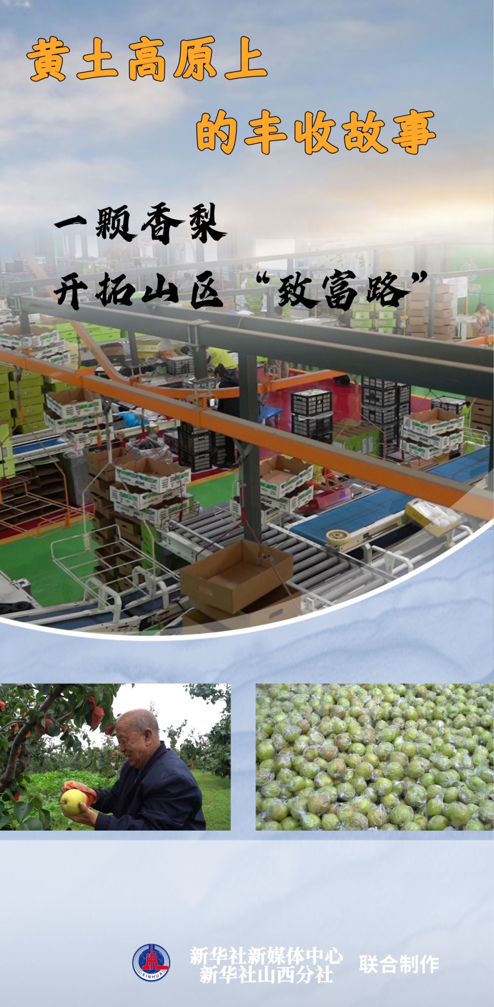 
天津肿瘤医院黄牛代挂号电话票贩子号贩子网上预约挂号,住院检查加快,黄土高原上的丰收故事：一颗香梨，开拓山区“致富路”