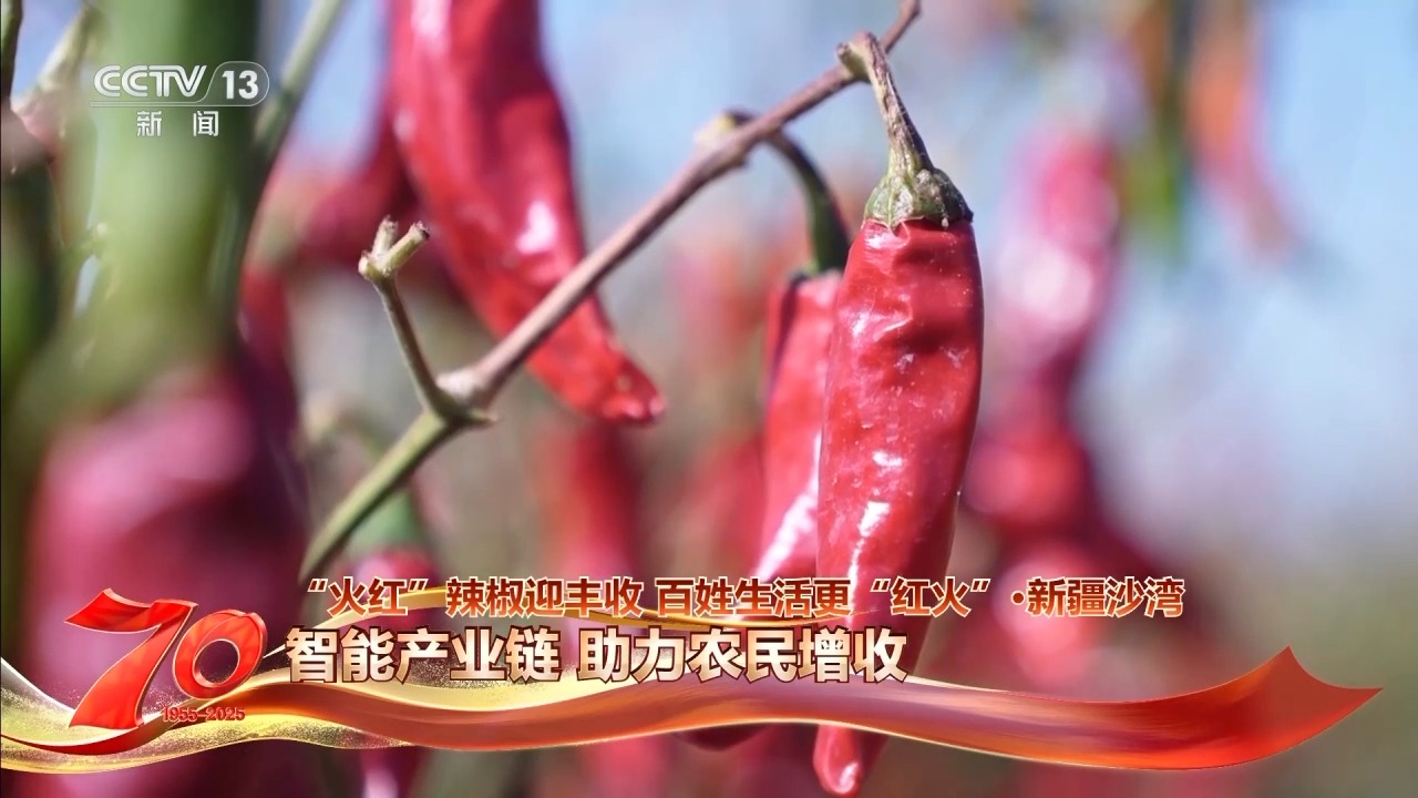 
上海第九人民医院黄牛代挂号电话票贩子号贩子网上预约挂号,住院检查加快,在新疆万亩戈壁晾晒场 看“火红辣椒”带来“红火日子”