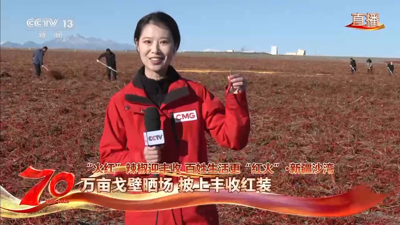 
上海第九人民医院黄牛代挂号电话票贩子号贩子网上预约挂号,住院检查加快,在新疆万亩戈壁晾晒场 看“火红辣椒”带来“红火日子”