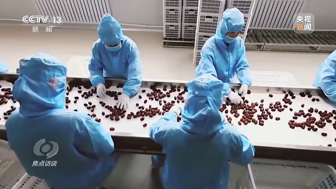 
博爱医院黄牛代挂号电话票贩子号贩子网上预约挂号,住院检查加快,焦点访谈丨产业兴、动能新、活力旺 新画卷正在新疆徐徐展开