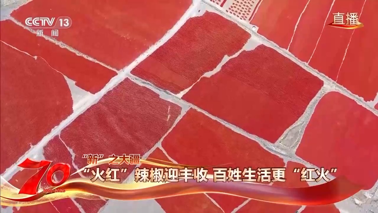 
上海第九人民医院黄牛代挂号电话票贩子号贩子网上预约挂号,住院检查加快,在新疆万亩戈壁晾晒场 看“火红辣椒”带来“红火日子”