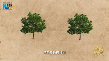 
杭州市富阳中医骨伤医院黄牛代挂号电话票贩子号贩子网上预约挂号,住院检查加快,寻找隐形冠军丨Vlog：钢筋“肋”骨长啥样？