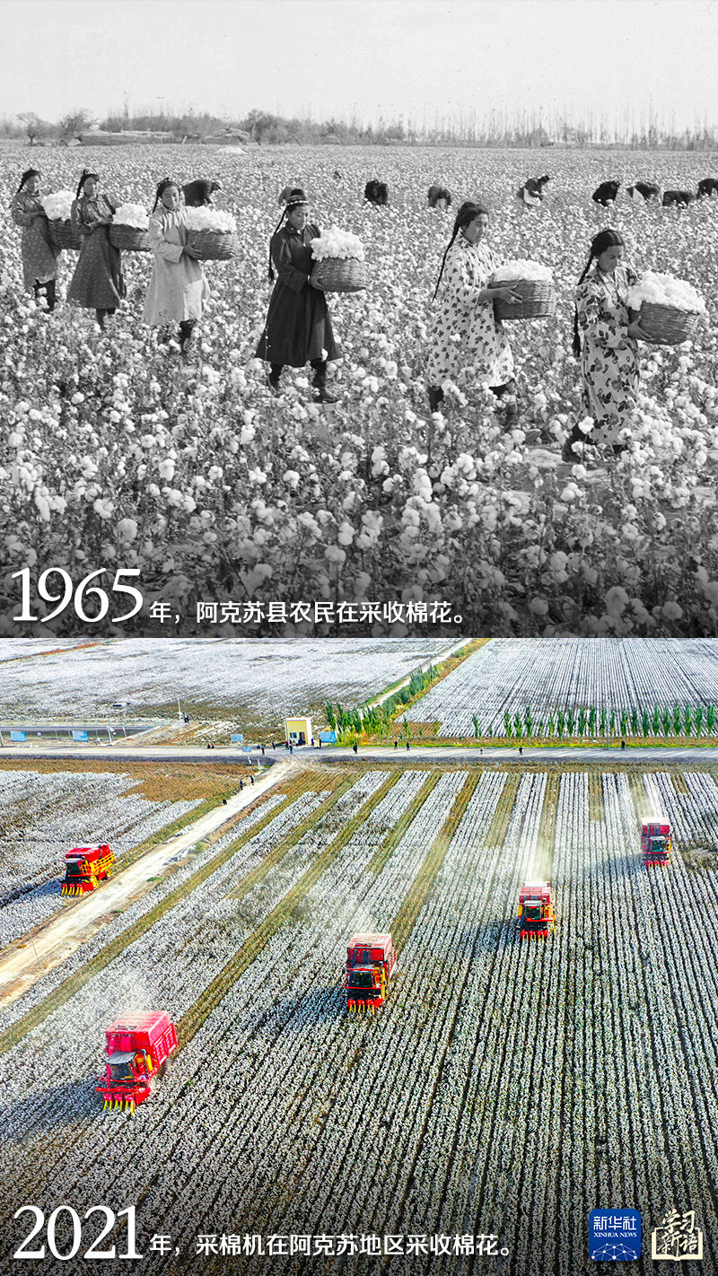 
长沙各大医院黄牛代挂号电话票贩子号贩子网上预约挂号,住院检查加快,学习新语｜跟着总书记感受新疆70年的沧桑巨变