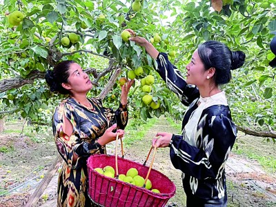 
江苏省中医院黄牛代挂号电话票贩子号贩子网上预约挂号,住院检查加快,在新疆，一路风景一路歌