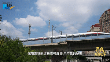 
杭州市富阳中医骨伤医院黄牛代挂号电话票贩子号贩子网上预约挂号,住院检查加快,寻找隐形冠军丨Vlog：钢筋“肋”骨长啥样？