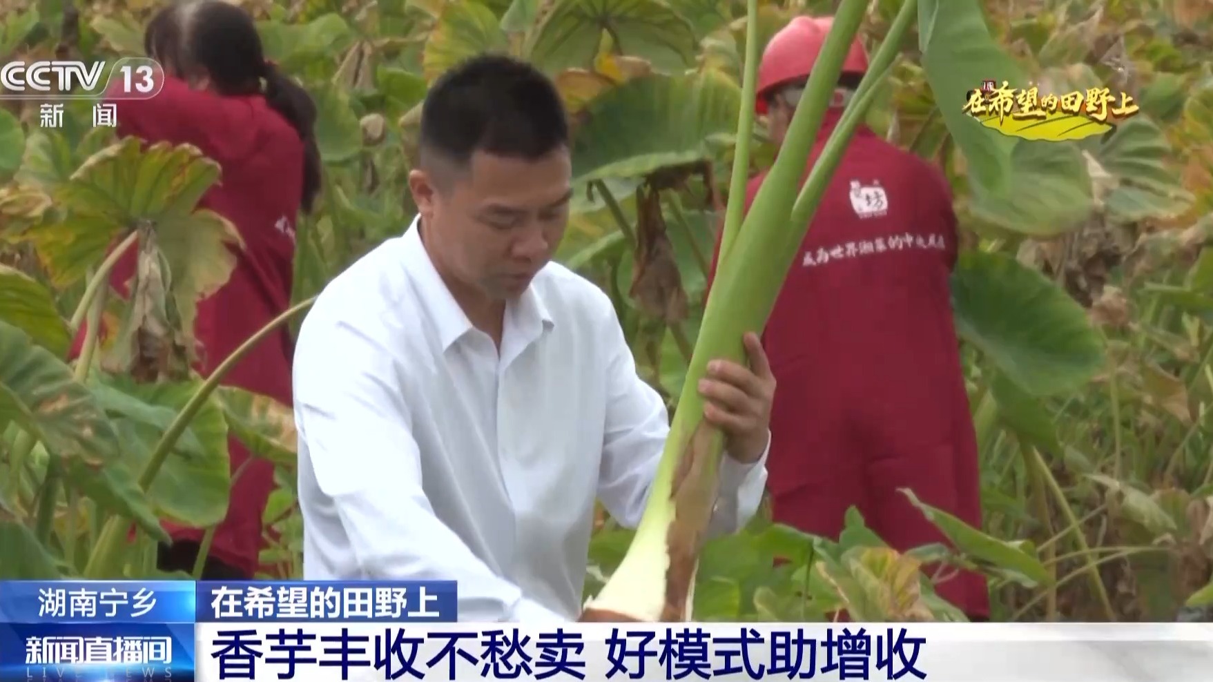 
南京市第一医院黄牛代挂号电话票贩子号贩子网上预约挂号,住院检查加快,粮食住进“好房子” 好模式助增收！各地保障秋收有“粮”方