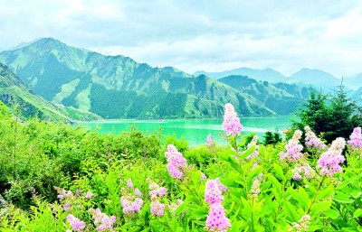 
江苏省中医院黄牛代挂号电话票贩子号贩子网上预约挂号,住院检查加快,在新疆，一路风景一路歌