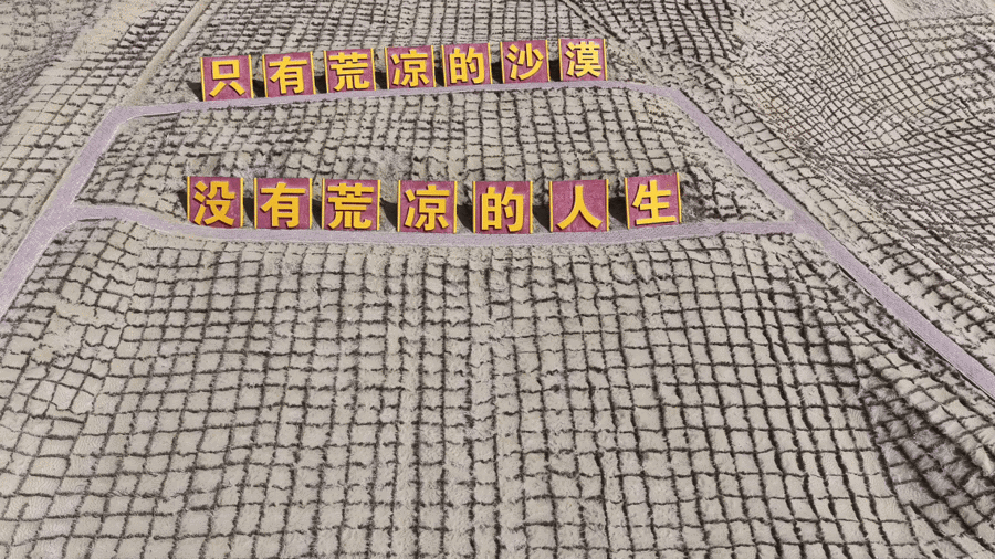 
东直门医院黄牛代挂号电话票贩子号贩子网上预约挂号,住院检查加快,Vlog | 沿着公路瞰新疆：穿越浩瀚沙海——塔里木沙漠公路