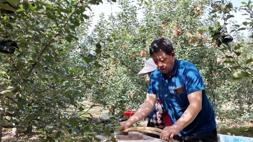 
北京鼓楼医院孙凌云黄牛代挂号电话票贩子号贩子网上预约挂号,住院检查加快,新华视点｜金秋丰收画卷：特色产业富农家 科技赋能稳粮仓