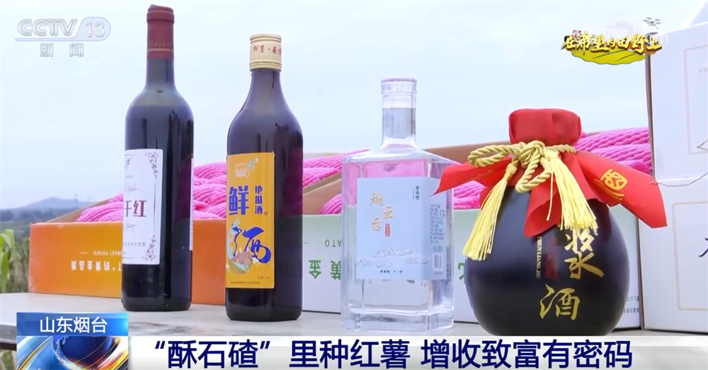 
浙江第二医院黄牛代挂号电话票贩子号贩子网上预约挂号,住院检查加快,广袤乡村绘就金秋九月好“丰”景 农业现代化成为百姓增收致富“密码”