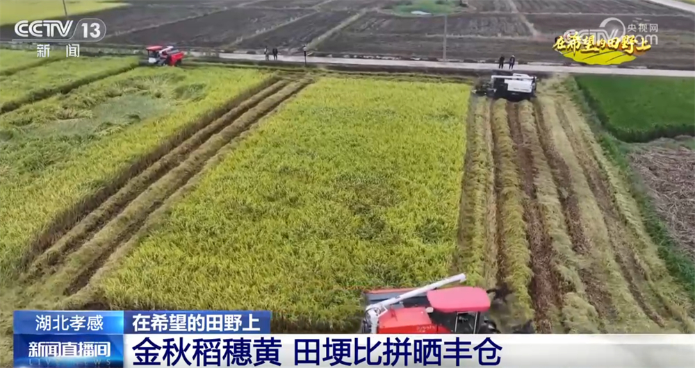 
浙江第二医院黄牛代挂号电话票贩子号贩子网上预约挂号,住院检查加快,广袤乡村绘就金秋九月好“丰”景 农业现代化成为百姓增收致富“密码”