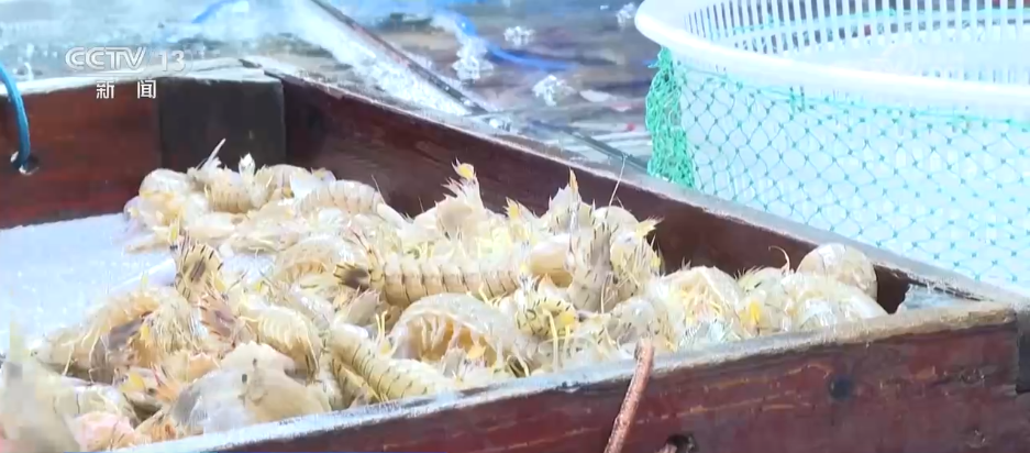 
首都医科大学附属北京妇产医院黄牛代挂号电话票贩子号贩子网上预约挂号,住院检查加快,“果盘子”物丰量足、海鲜花卉购销火热 假日消费市场供需两旺活力足