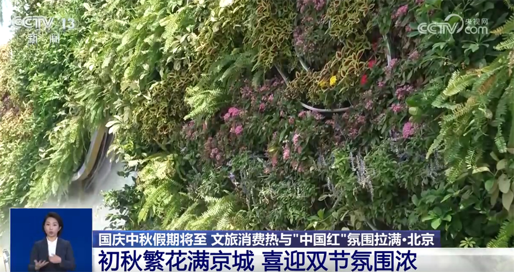 
北京儿童医院黄牛代挂号电话票贩子号贩子网上预约挂号,住院检查加快,新业态新场景不断涌现 文旅消费“热”与最美“中国红”拉满节日氛围感