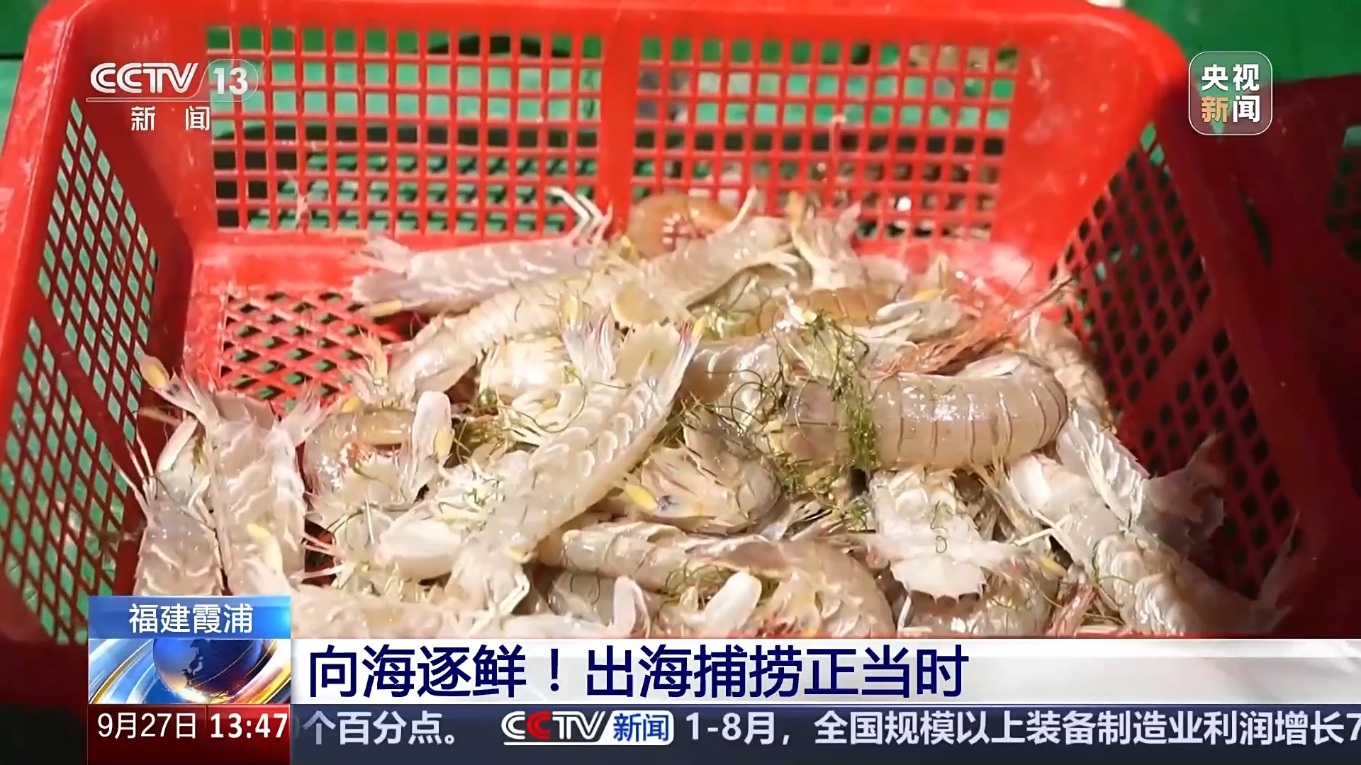 
北京北大口腔医院黄牛代挂号电话票贩子号贩子网上预约挂号,住院检查加快,海边村镇变网红打卡点 “渔旅融合”让滨海小城出圈