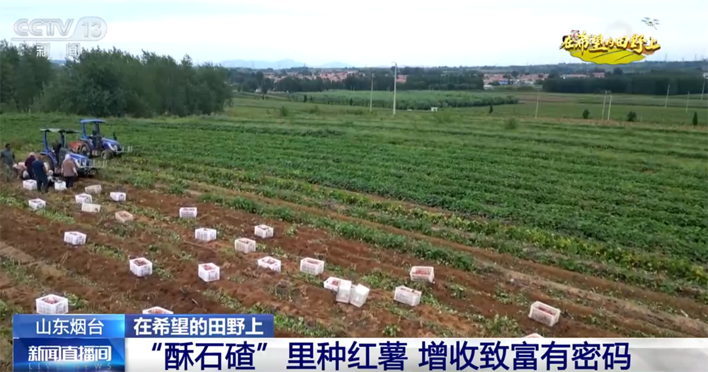 
浙江第二医院黄牛代挂号电话票贩子号贩子网上预约挂号,住院检查加快,广袤乡村绘就金秋九月好“丰”景 农业现代化成为百姓增收致富“密码”