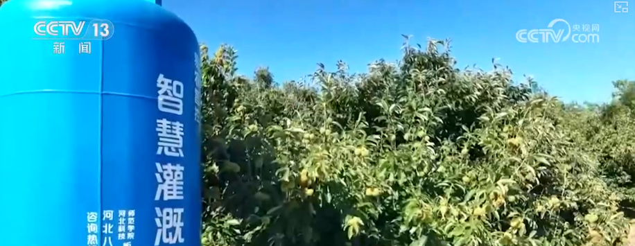 
首都医科院整形外科医院黄牛代挂号电话票贩子号贩子网上预约挂号,住院检查加快,水肥精准“喂”、无人机“送”下山、“钢铁翼”忙脱叶 花样“黑科技”让丰收更智慧