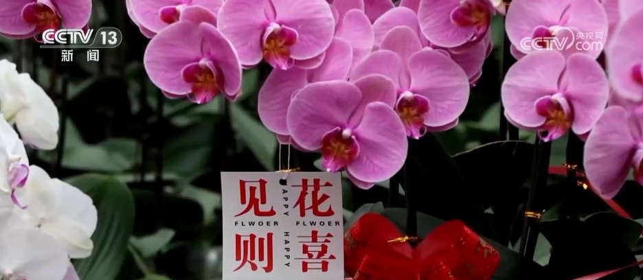 
浙江口腔医院黄牛代挂号电话票贩子号贩子网上预约挂号,住院检查加快,“菜篮子”量足价稳、鲜花市场备货忙 各地多举措保障节日市场供应