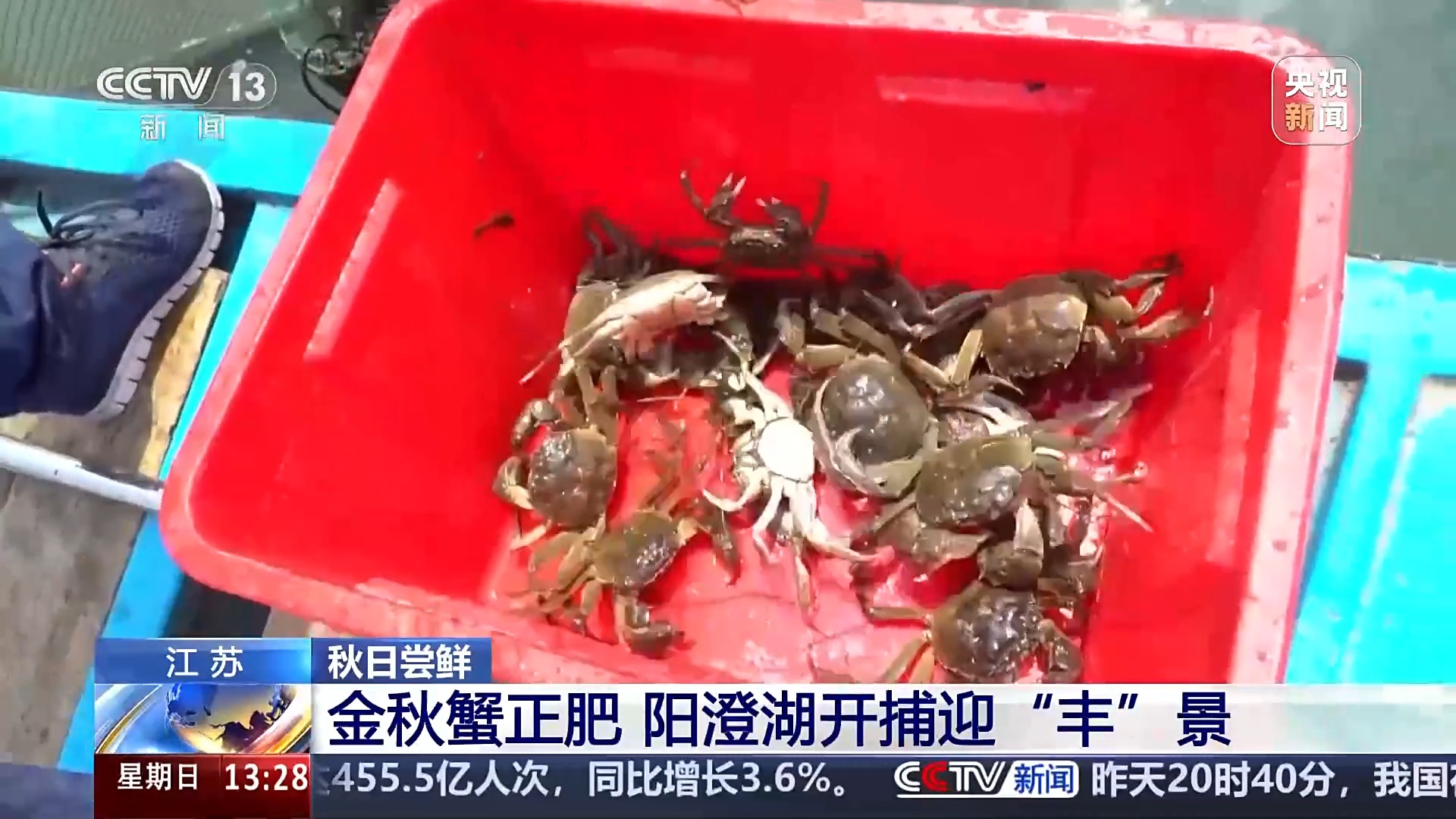 
北京协和医院黄牛代挂号电话票贩子号贩子网上预约挂号,住院检查加快,古法晒虾、板栗烧鸡 各地宝藏秋日鲜味已上桌