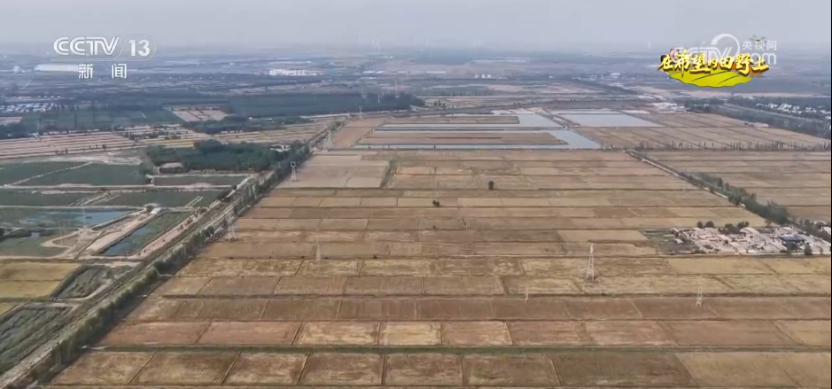 
北京积水潭医院黄牛代挂号电话票贩子号贩子网上预约挂号,住院检查加快,希望的田野满满“科技范” 智慧农业绘就千里沃野好“丰”景